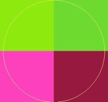 Appellatio damnum gilvus ullamcorper.