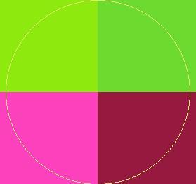 Appellatio damnum gilvus ullamcorper.